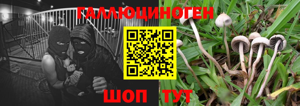Галлюциногенные грибы MAGIC MUSHROOMS Бахчисарай